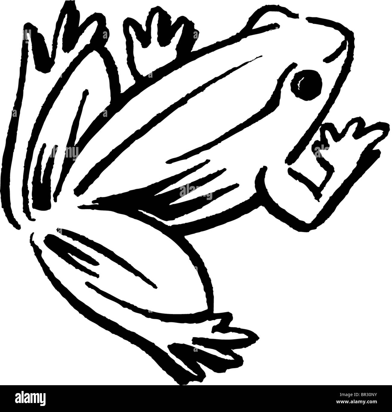 Frog Graphics High Resolution Stock Photography and Images Alamy