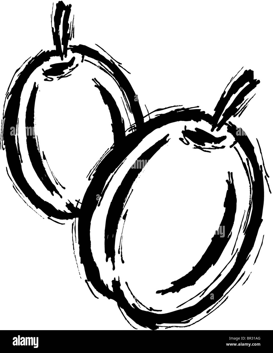 A black and white drawing of two plums Stock Photo Alamy