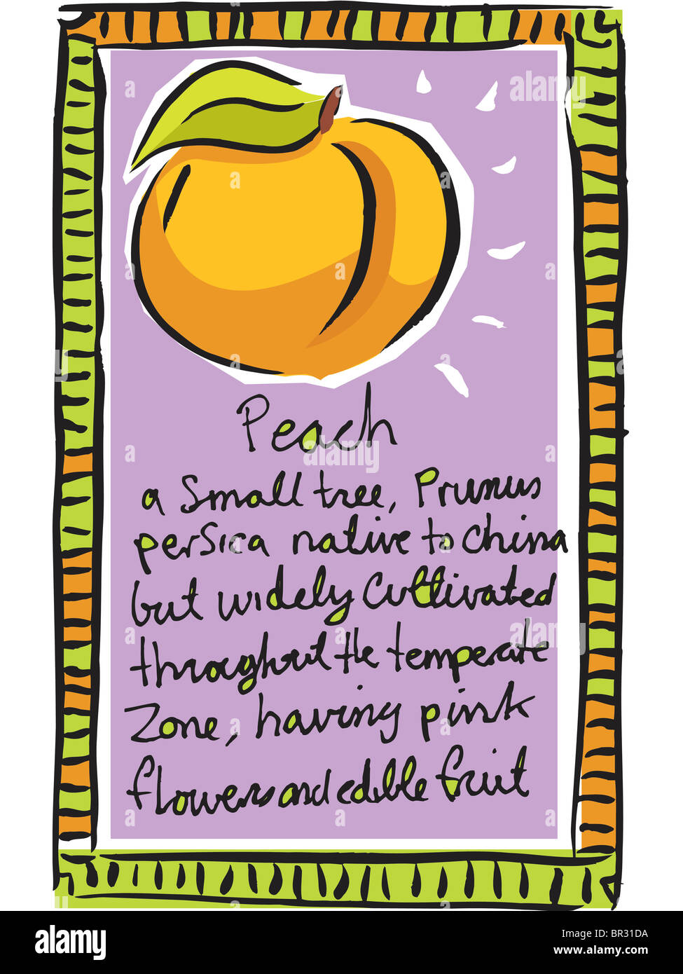 Peach drawing hires stock photography and images Alamy