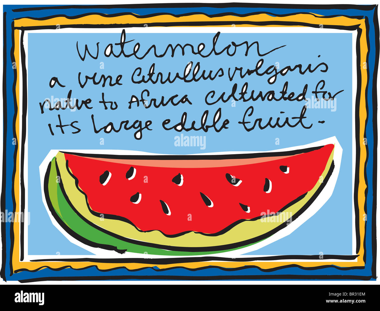 An illustration of a sign with the definition of a watermelon Stock