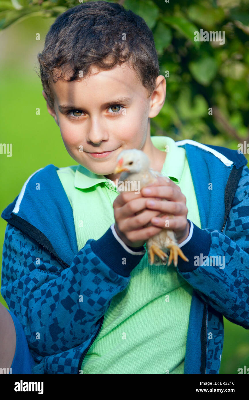 Portrait of a baby chick being held by a boy Stock Photo Alamy