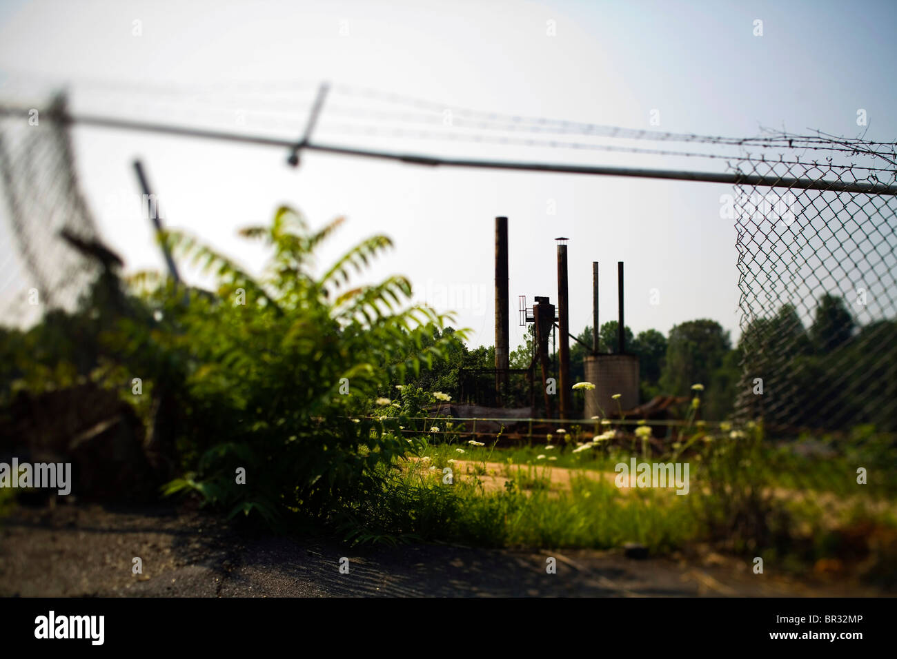 Computer server farm hi-res stock photography and images - Alamy
