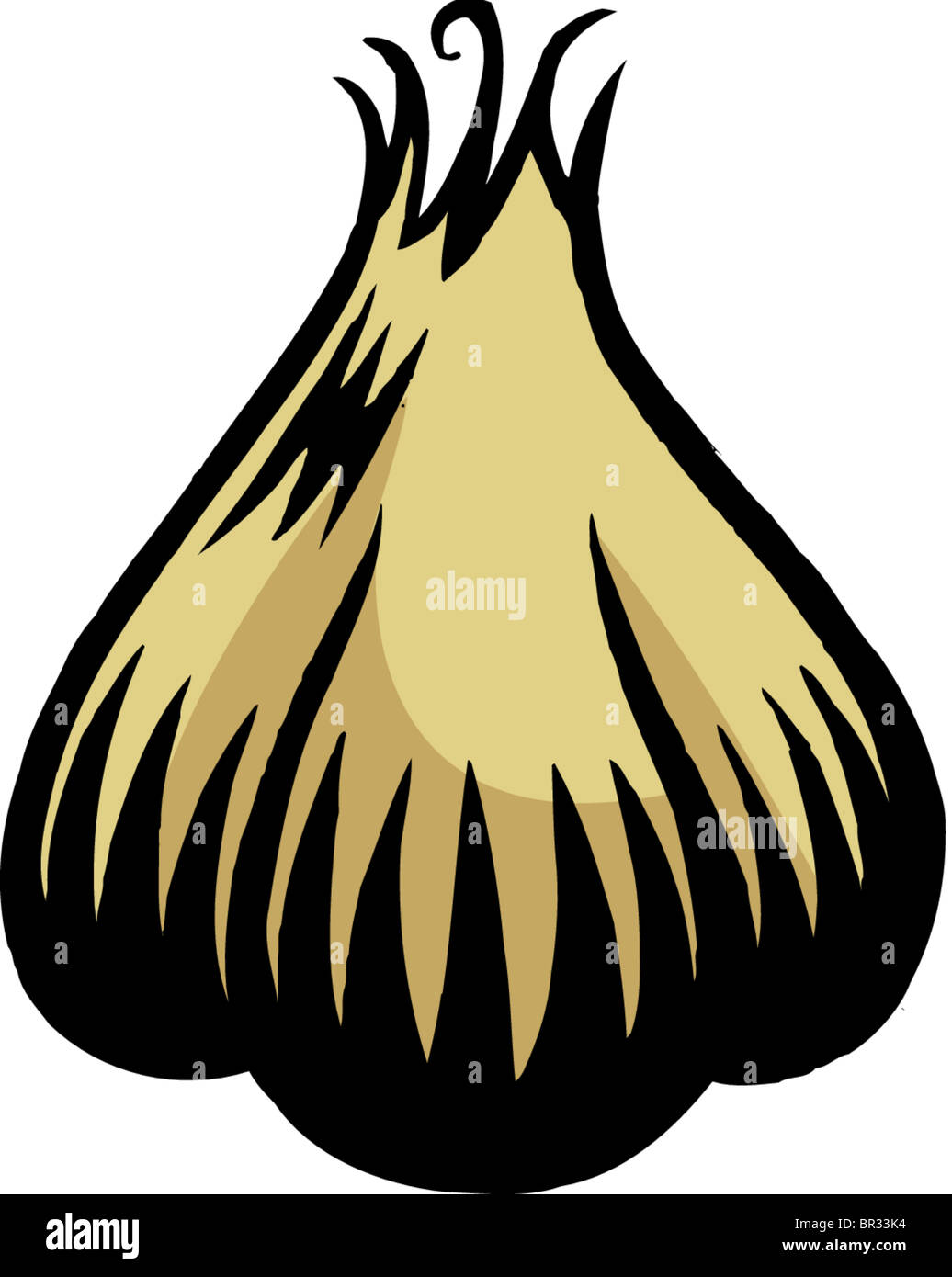 A representation of garlic cloves Stock Photo Alamy