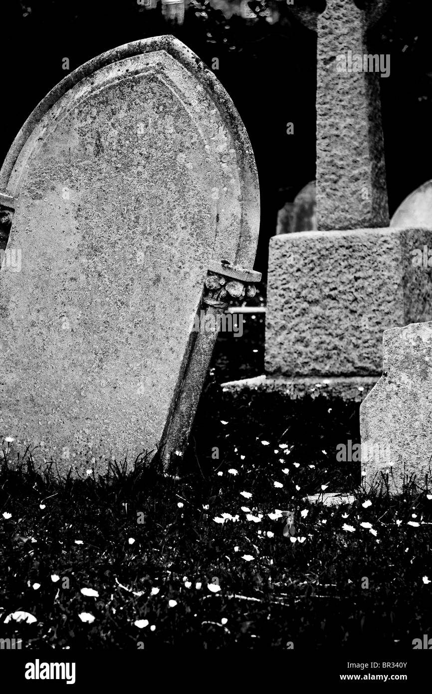 Mono gravestones with daisies in the grass Stock Photo