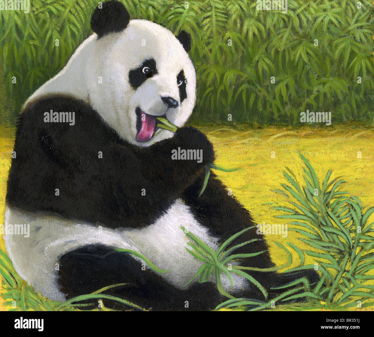 Panda bear hi-res stock photography and images - Page 3 - Alamy