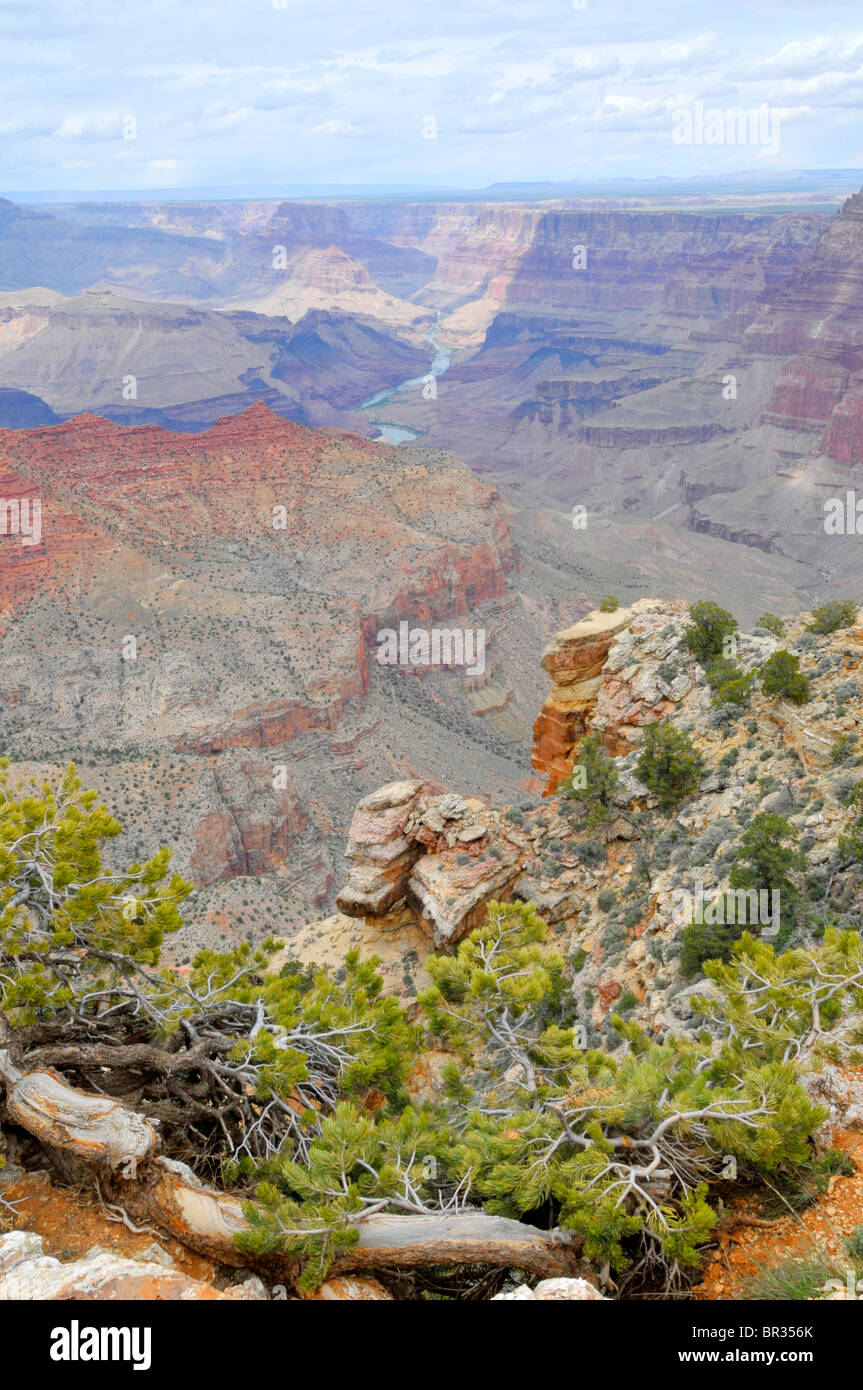 South Rim Grand Canyon National Park Arizona Stock Photo - Alamy