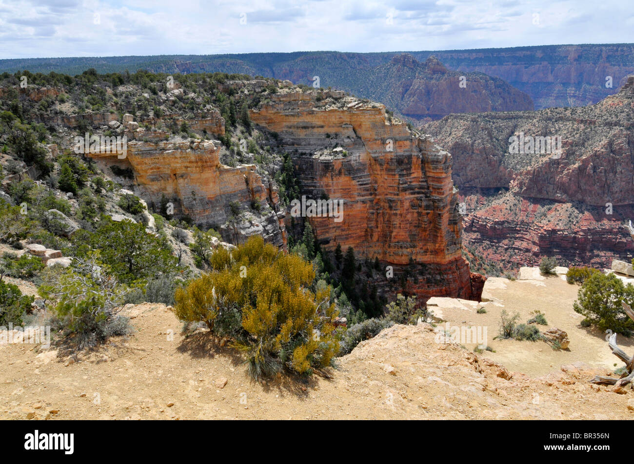 South Rim Grand Canyon National Park Arizona Stock Photo - Alamy