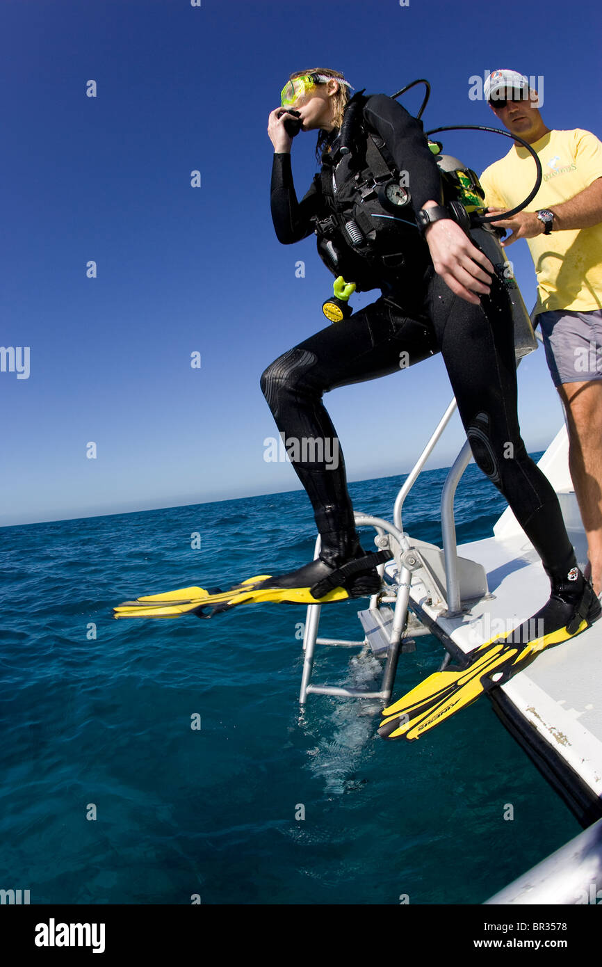 Diver performing giant stride, Key Largo, Florida Stock Photo Alamy