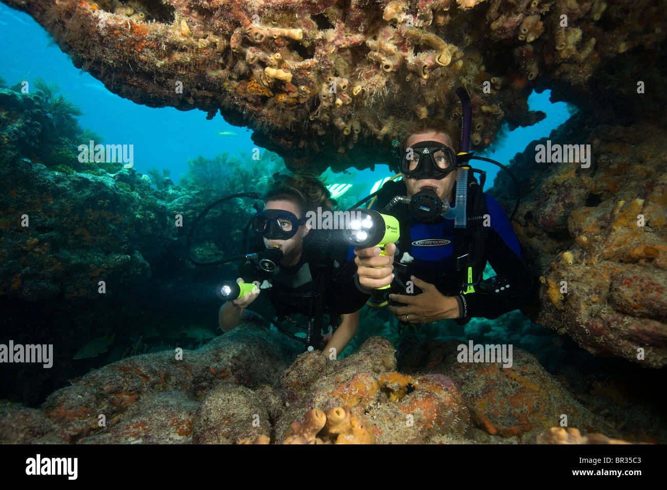Pair of scuba divers, Molasses Reef, Key Largo, Florida Stock Photo Alamy