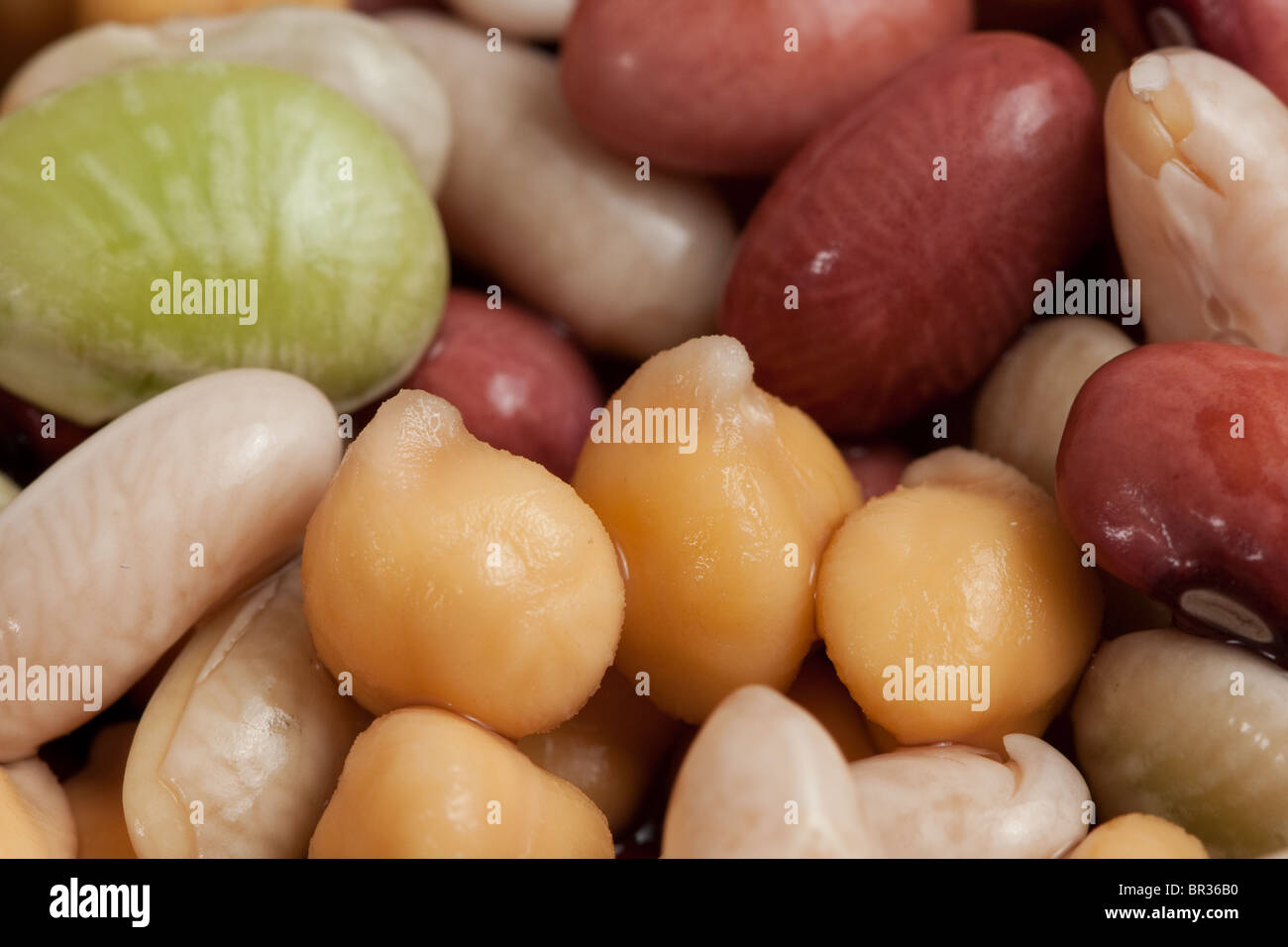 Closeup of red kidney, green baby lima, garbazo and cannellini beans Stock Photo