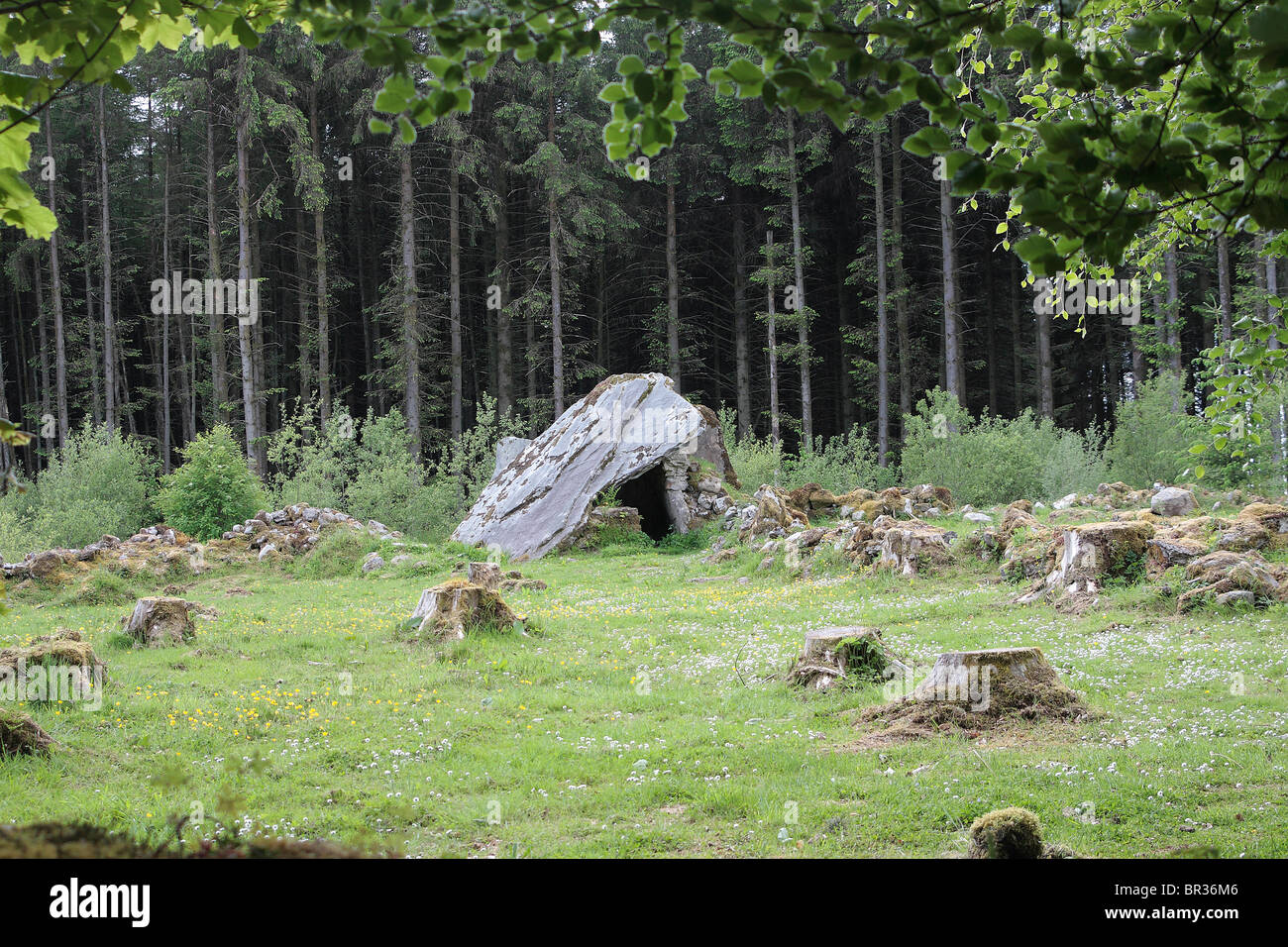 Wedge Tomb, County Cavan, Ireland Stock Photo