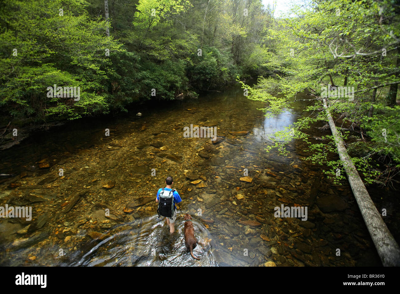 Male backpacker and his dog ford the Davidson River in the Pisgah National Forest near Brevard, NC Stock Photo