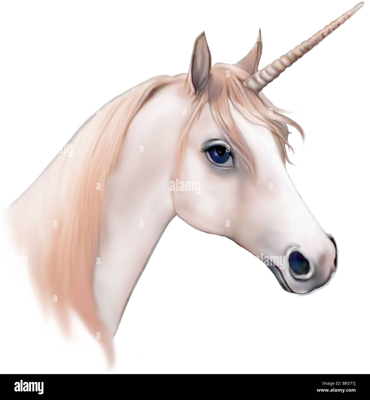 An illustration of a Unicorn Stock Photo