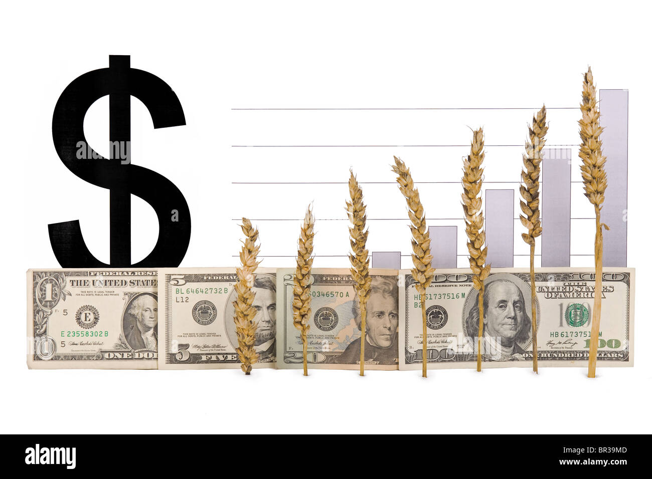 price growth grain Stock Photo Alamy
