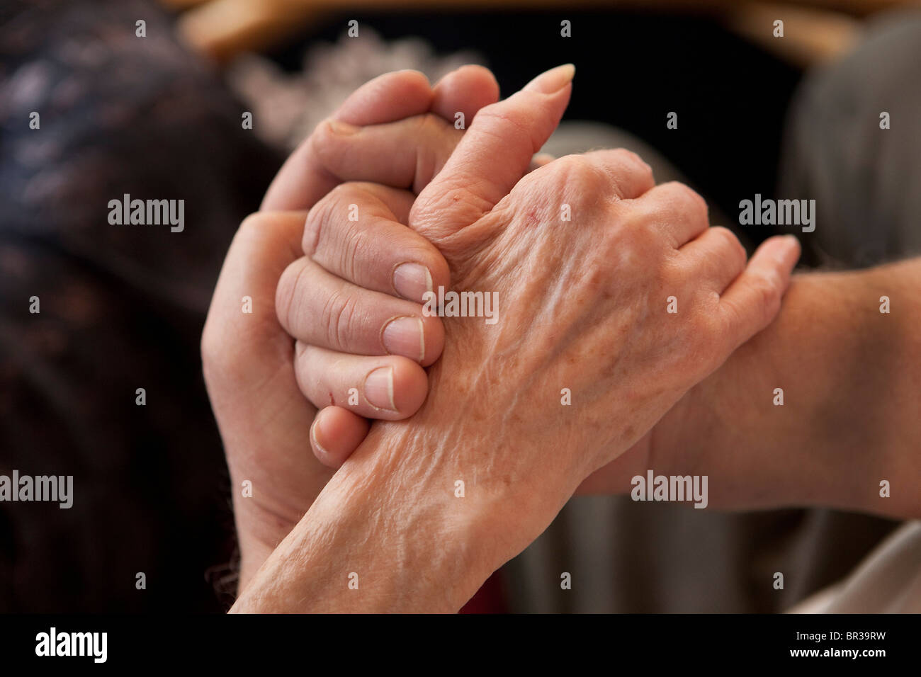 Hands of old woman together with hand of young woman Stock Photo - Alamy