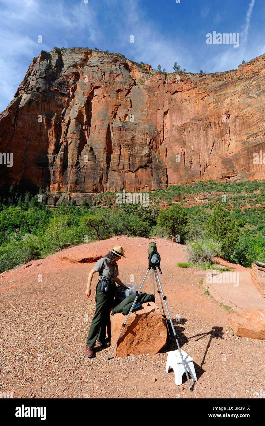 Rocking Park Ranger Park Ranger viewing rock climbers Big Bend Area Mount Zion National ...