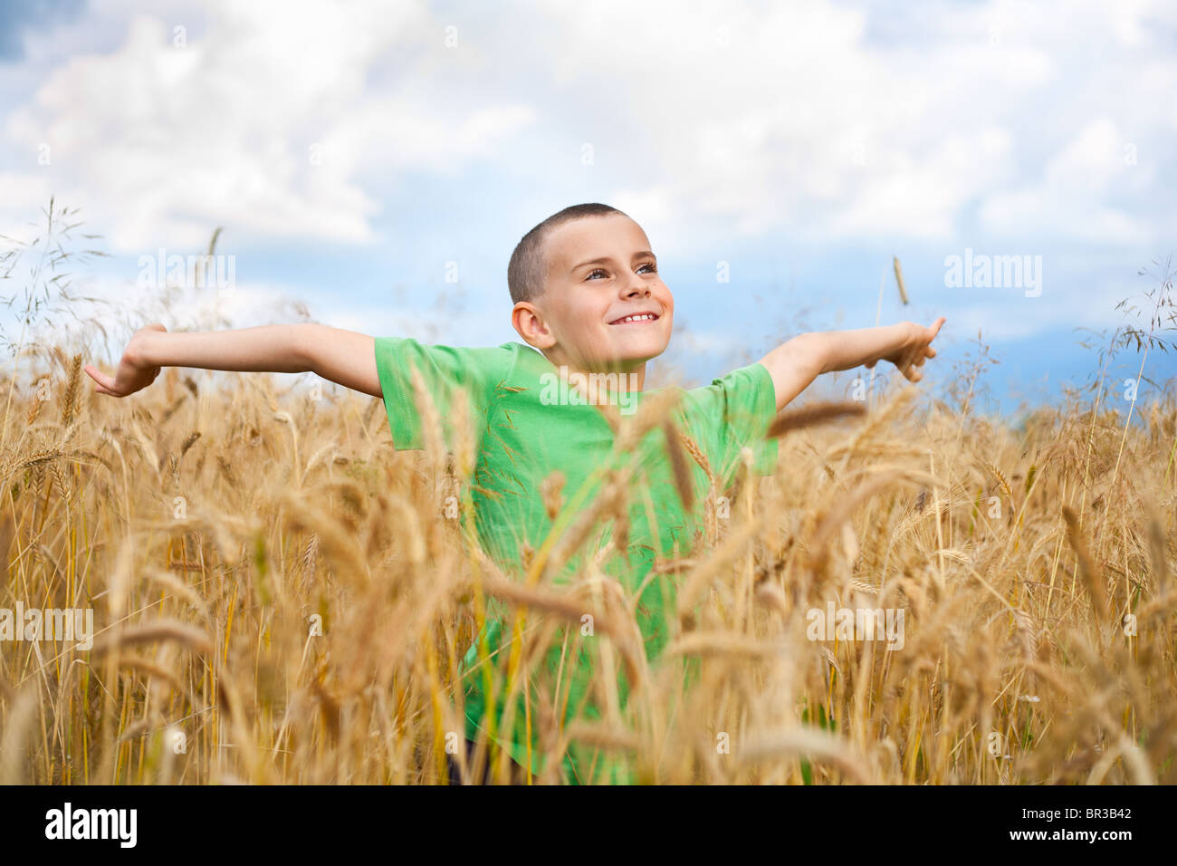 Portrait of a cute and happy kid in a wheat field Stock Photo - Alamy