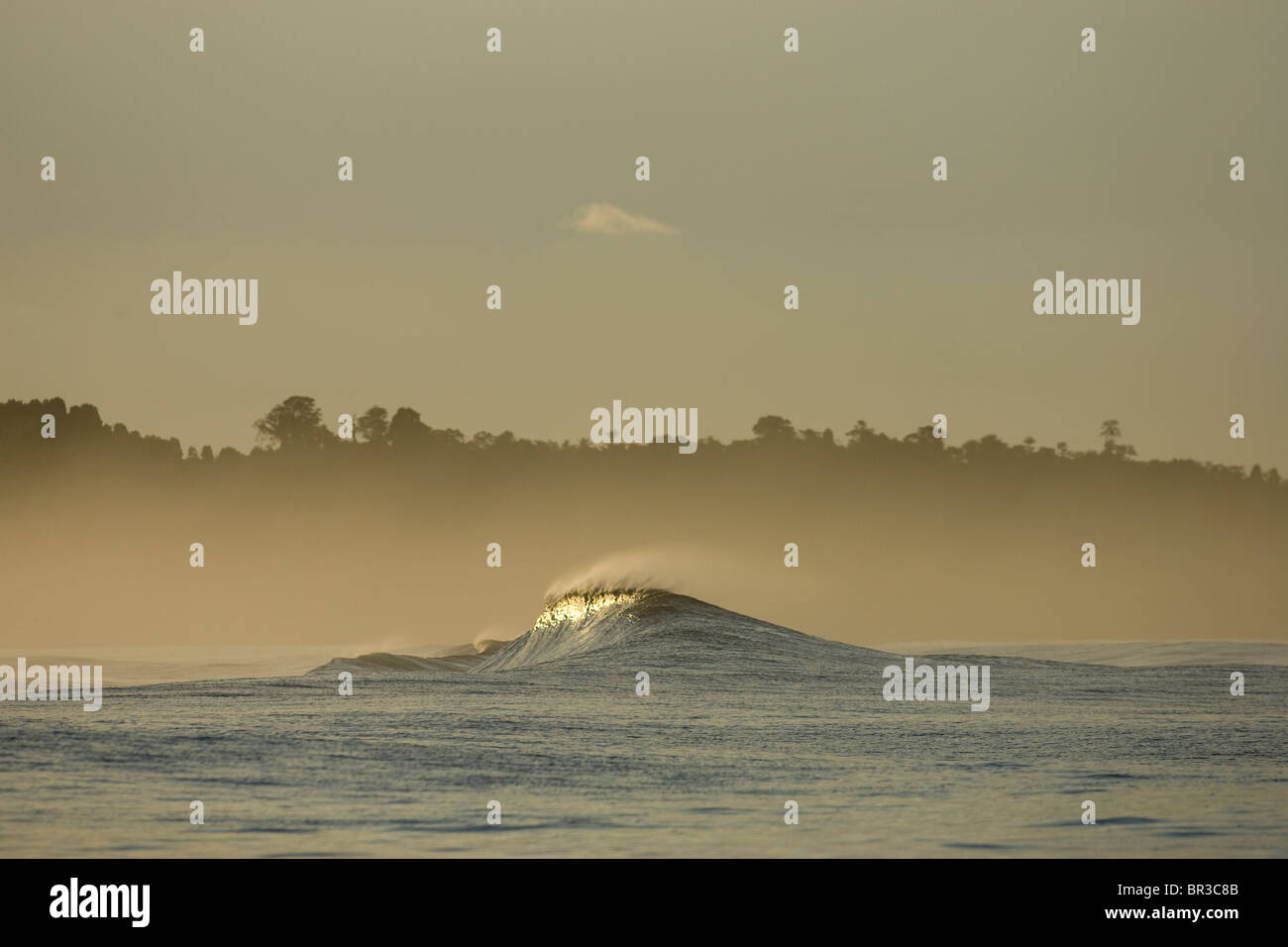 breaking wave in the Mentawai Islands Stock Photo