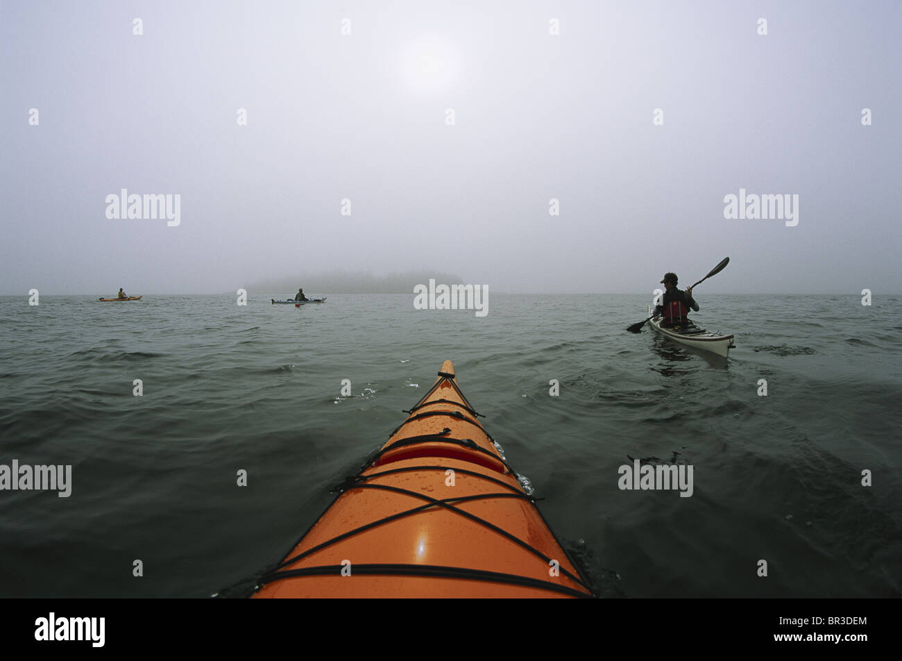 A group of people on a sea kayaking excursion near Thief Island on