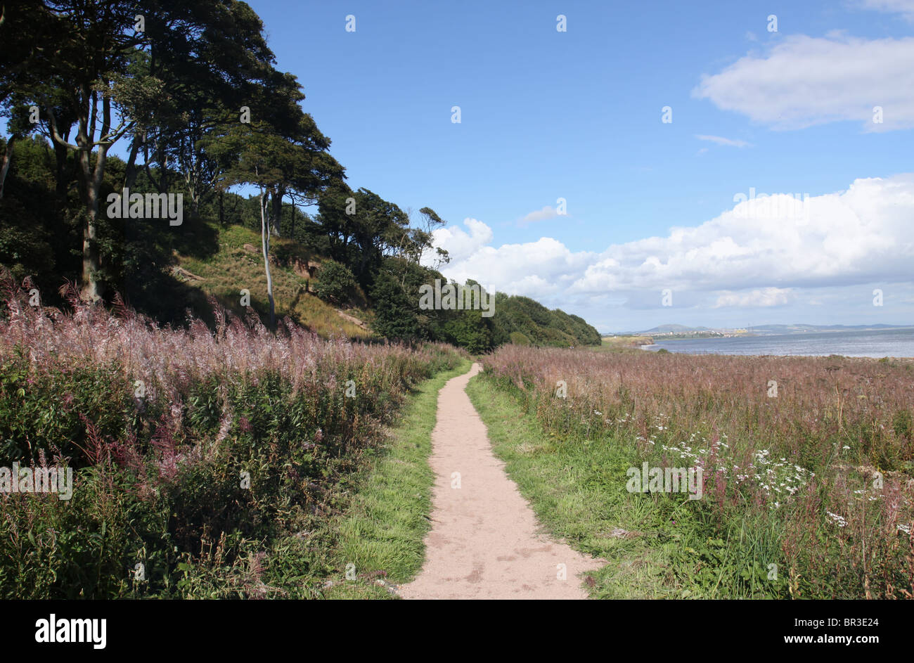 East wemyss fife scotland hires stock photography and images Alamy