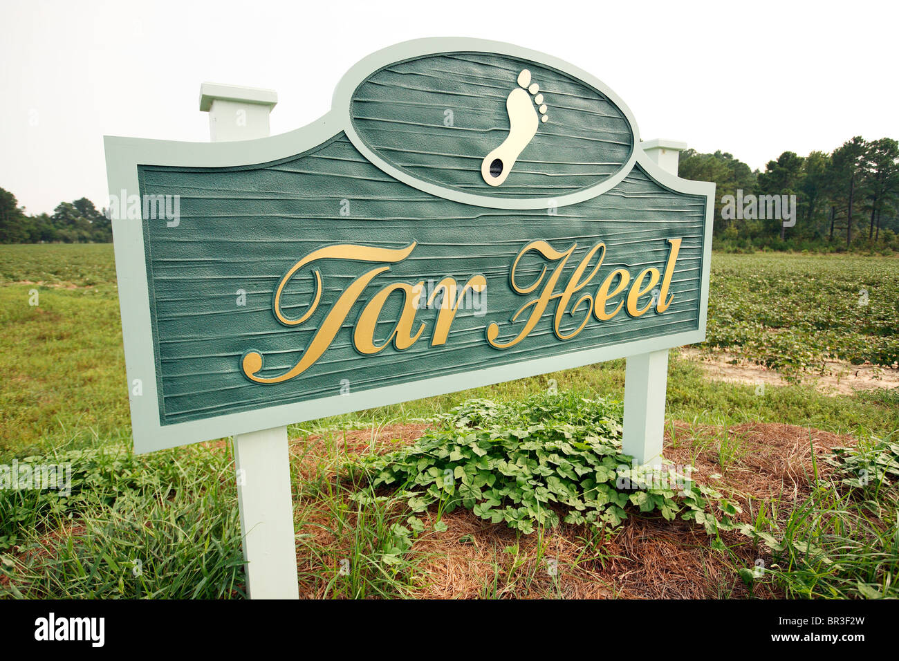 The City Of Tar Heel Sign Stock Photo Alamy