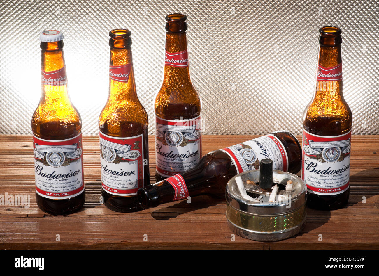 Bottles of Budweiser Beer with Ashtray Stock Photo Alamy