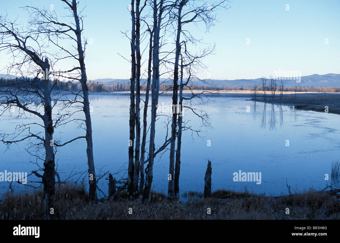 Blackfoot River valley in Montana Stock Photo Alamy