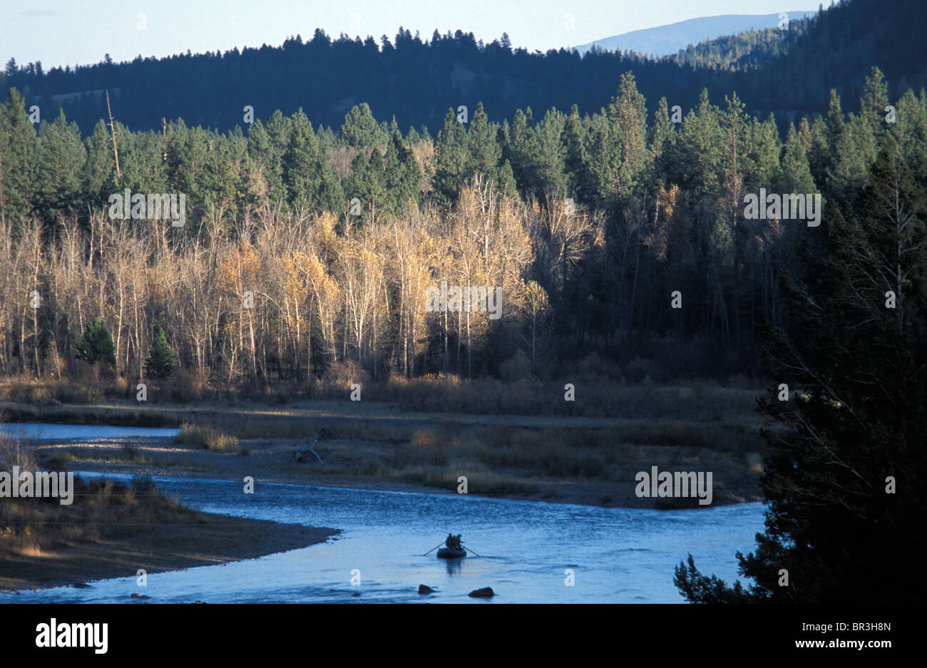 Blackfoot River valley in Montana Stock Photo Alamy
