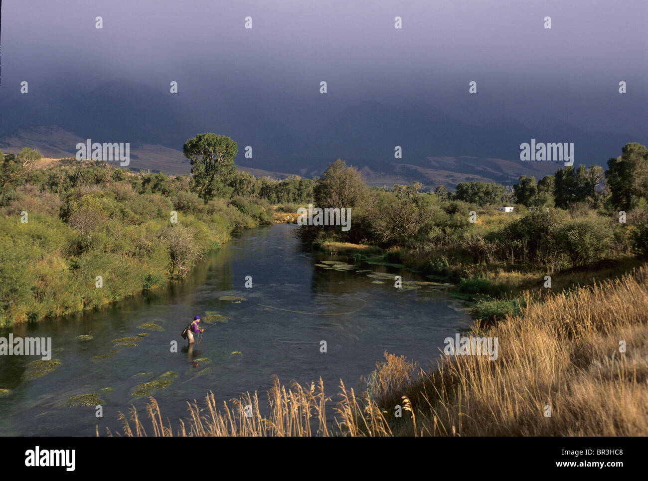 Paradise valley montana fishing hires stock photography and images Alamy