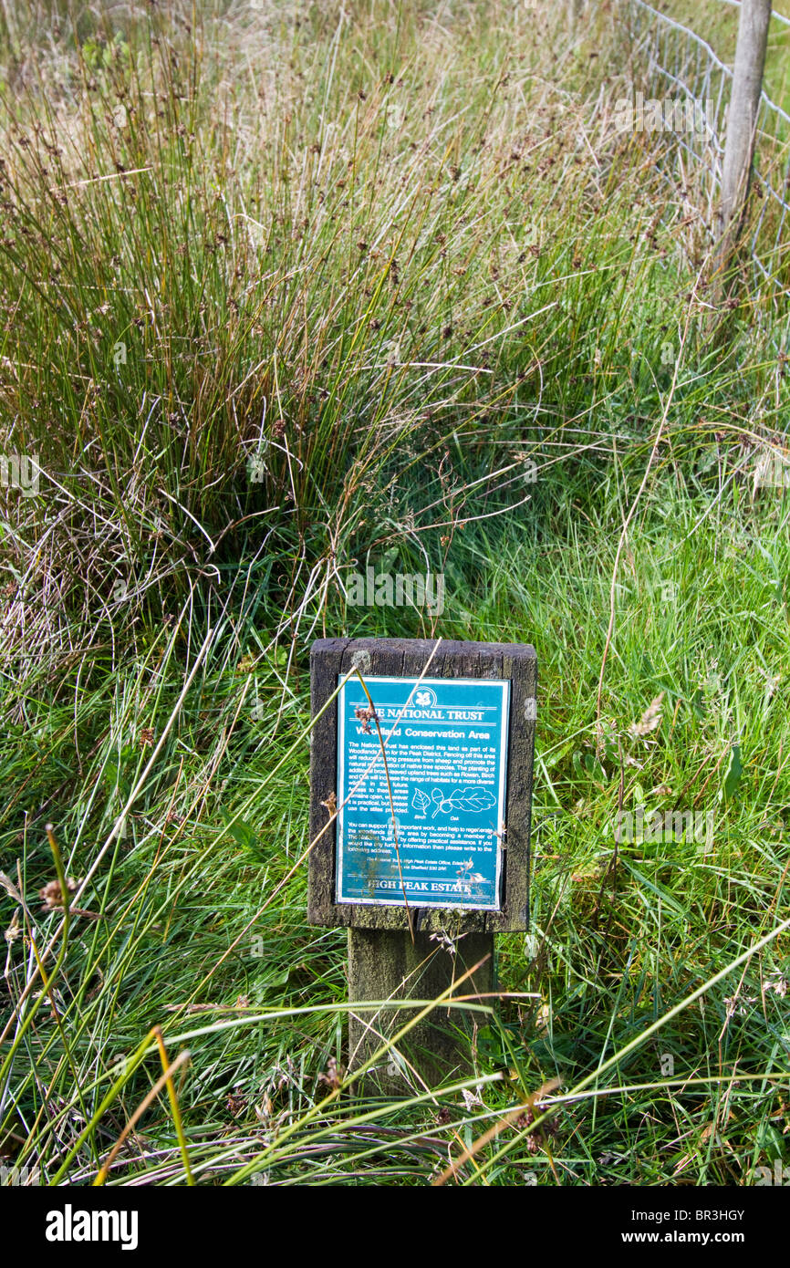 national trust woodland conservation area planting high peak estate