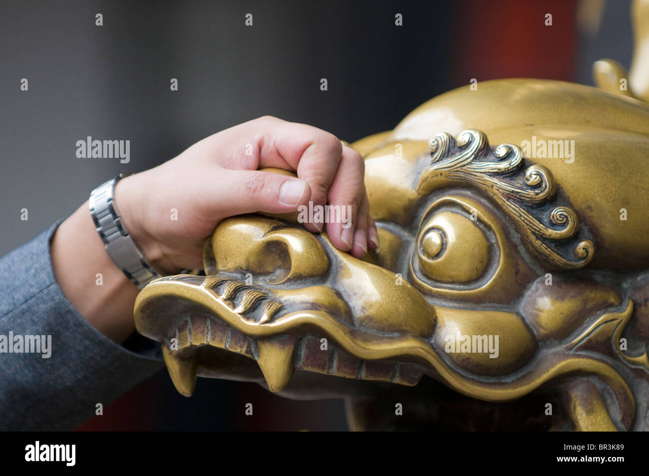 Worshiper caresses brass lion hoping to improve health, Wenshu Temple, Chengdu, Sichuan Province, China Stock Photo