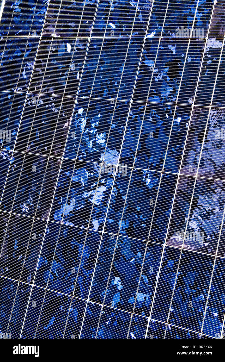 Solar Module View Detailed view of a photovoltaic solar panel Stock Photo - Alamy