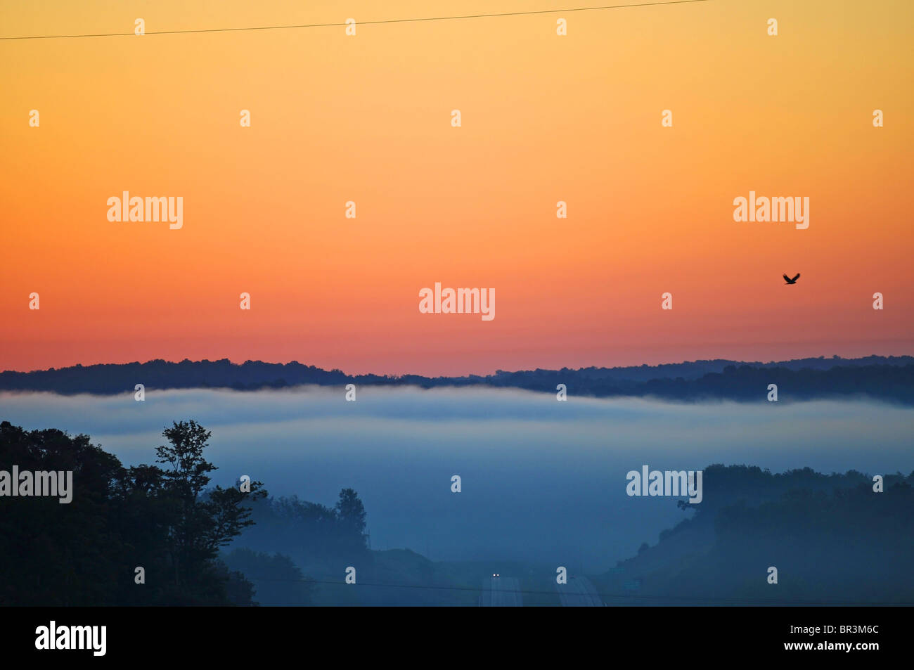 Beauty of the fog hi-res stock photography and images - Alamy
