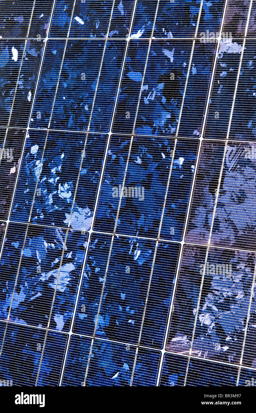 Detailed view of a photovoltaic solar panel. Stock Photo