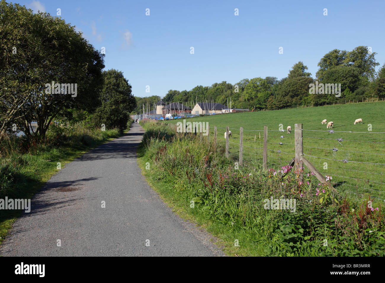 Semple Trail path, Clyde Muirshiel Regional Park, Lochwinnoch, Renfrewshire, Scotland, UK Stock Photo