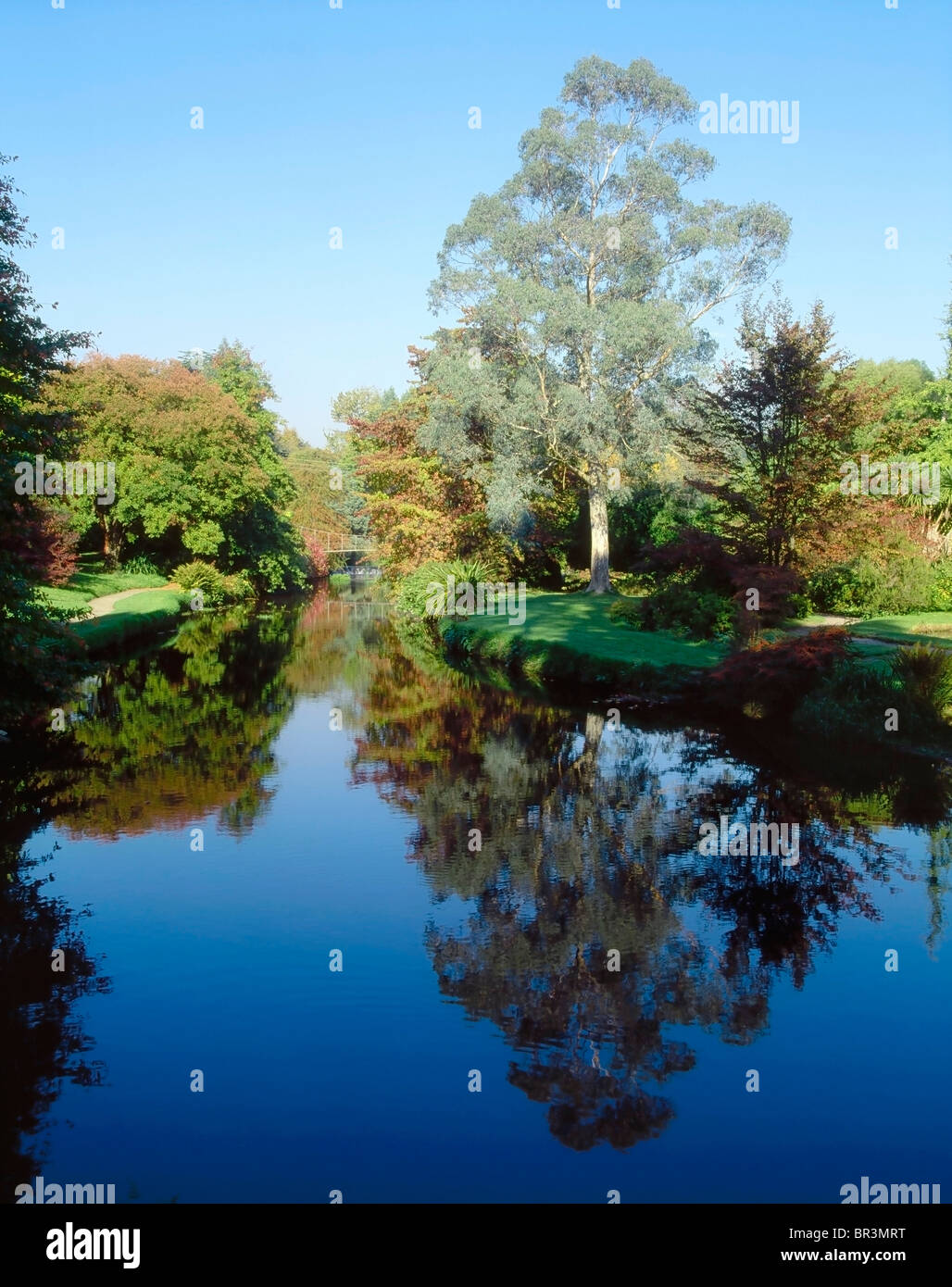 Ashford, Co Wicklow, Ireland, Mount Usher Gardens, River Vartry