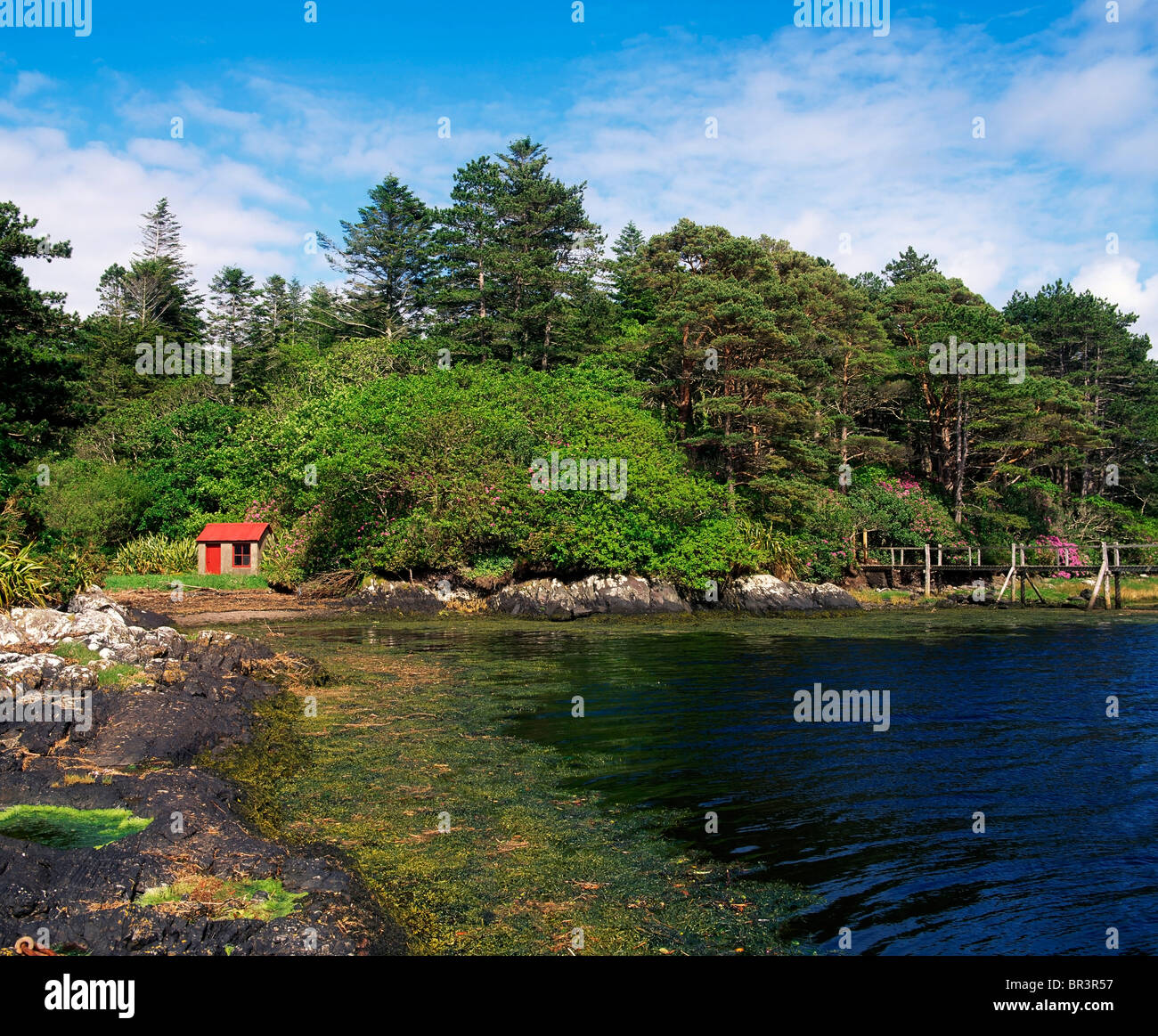 Kenmare, Co Kerry, Ireland, Coastal Area And Small Summer House At Derreen Gardens Stock Photo