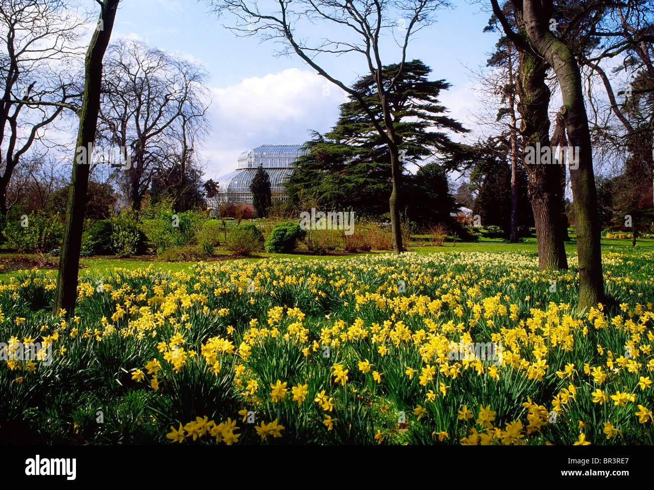 Dublin, Co Dublin, Ireland, Botanic Gardens Stock Photo