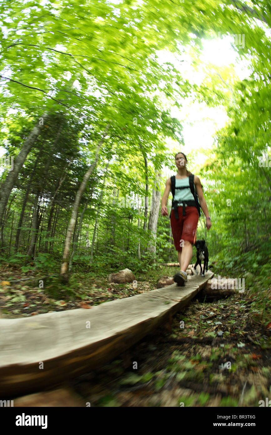 Zoom blur image of single female hikes along a wooden boardwalk on the approach in to the Wild River crags near Gilead, ME Stock Photo