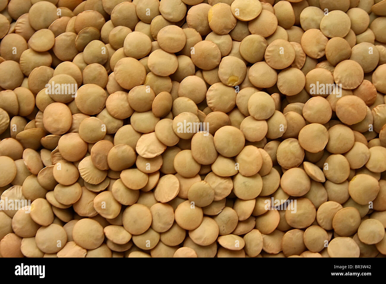 Lentil grains for culinary use Stock Photo