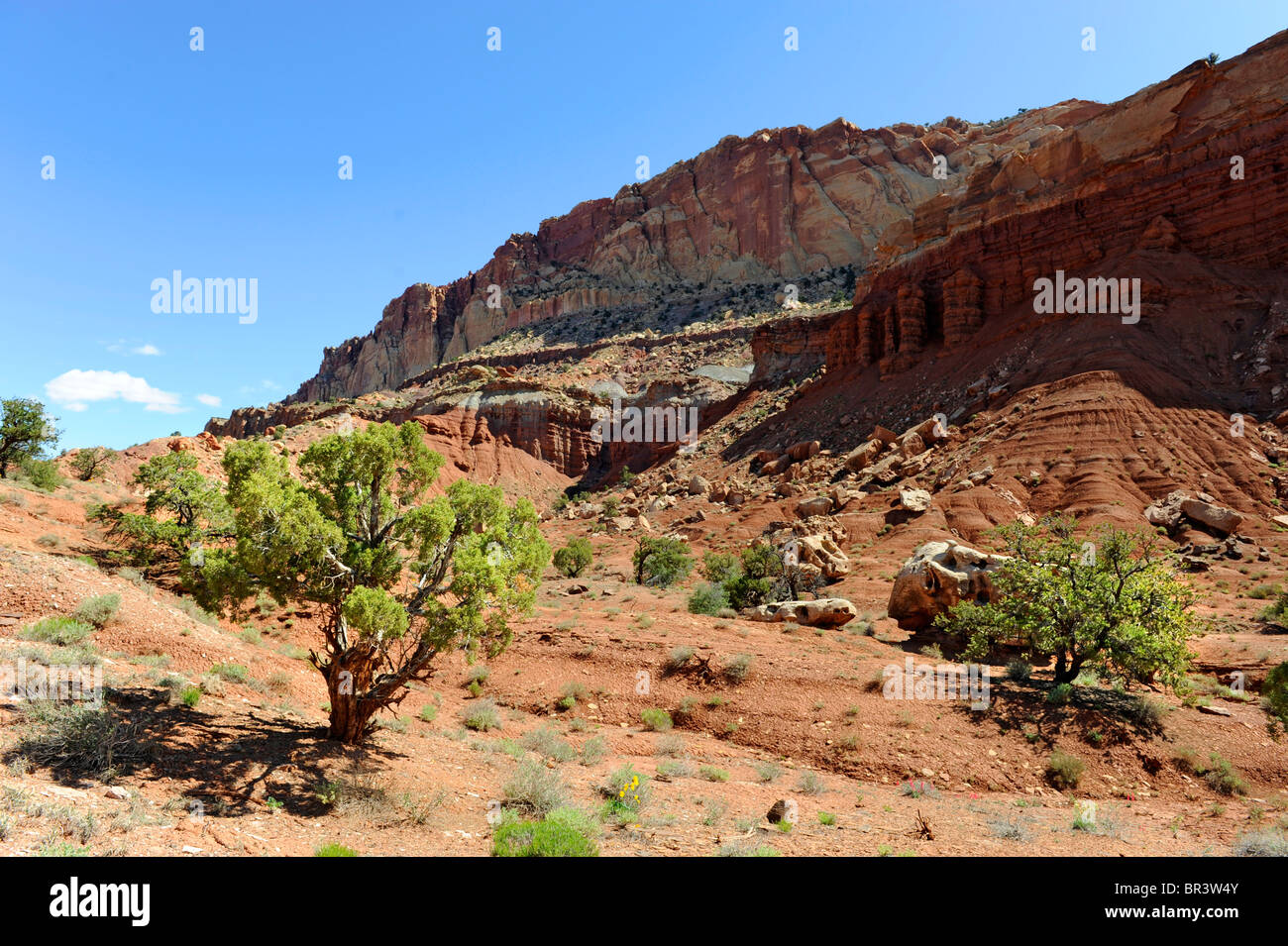 Capitol Reef National Park Utah Stock Photo - Alamy