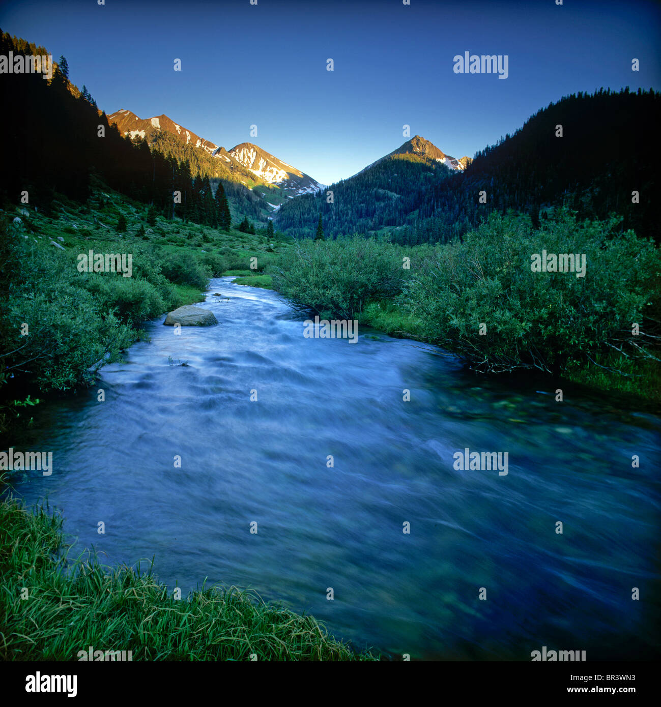 Dawn at Mineral King Valley main image 0