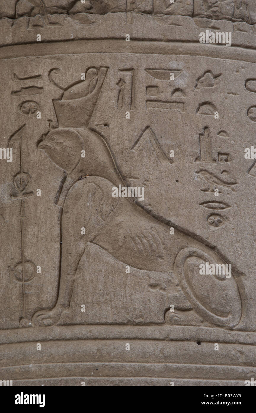 Reliefs representing a falcon-headed sphinx. Temple of Horus. Edfu. Egypt Stock Photo