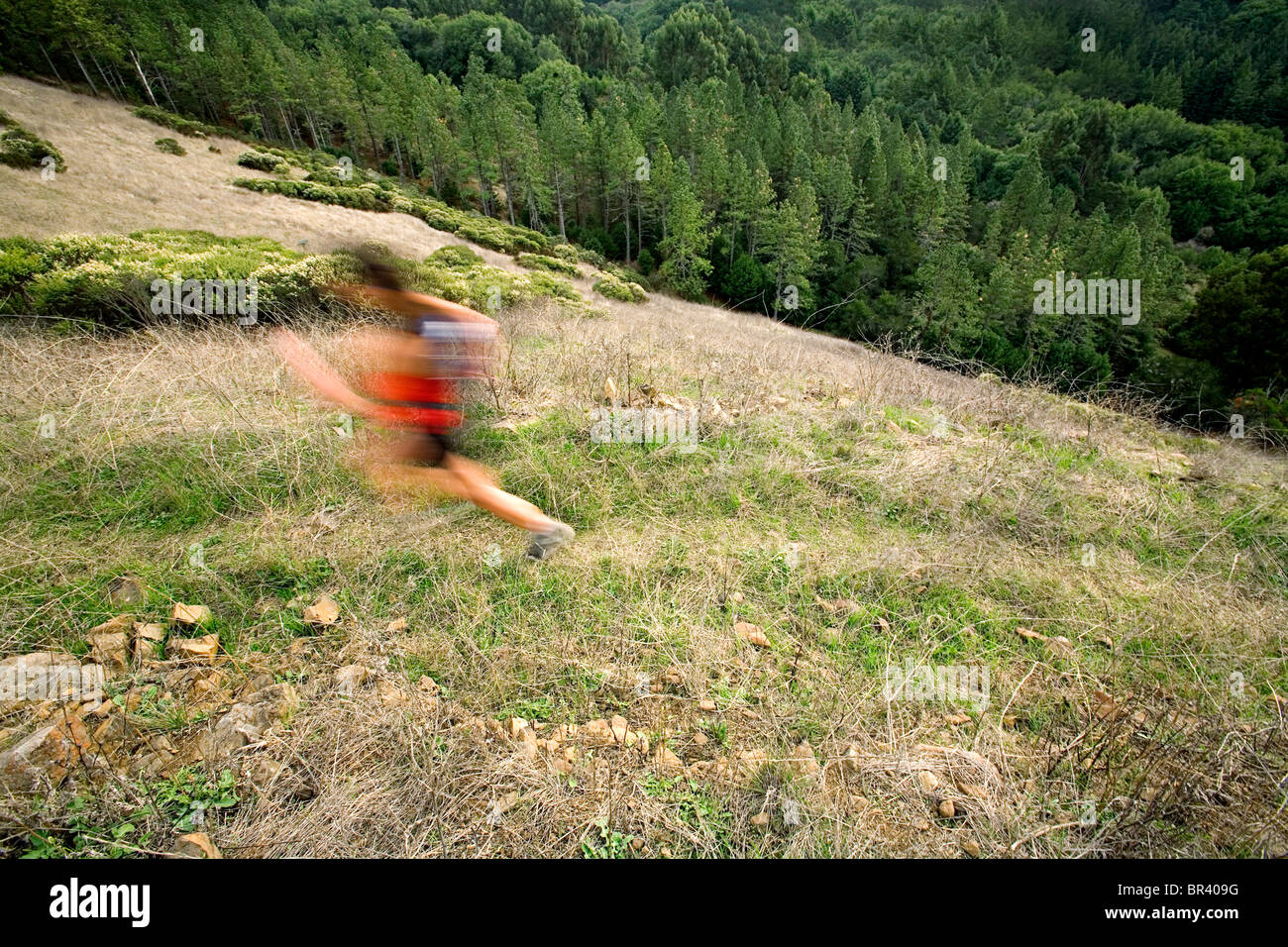 Woman trail running Stock Photo - Alamy