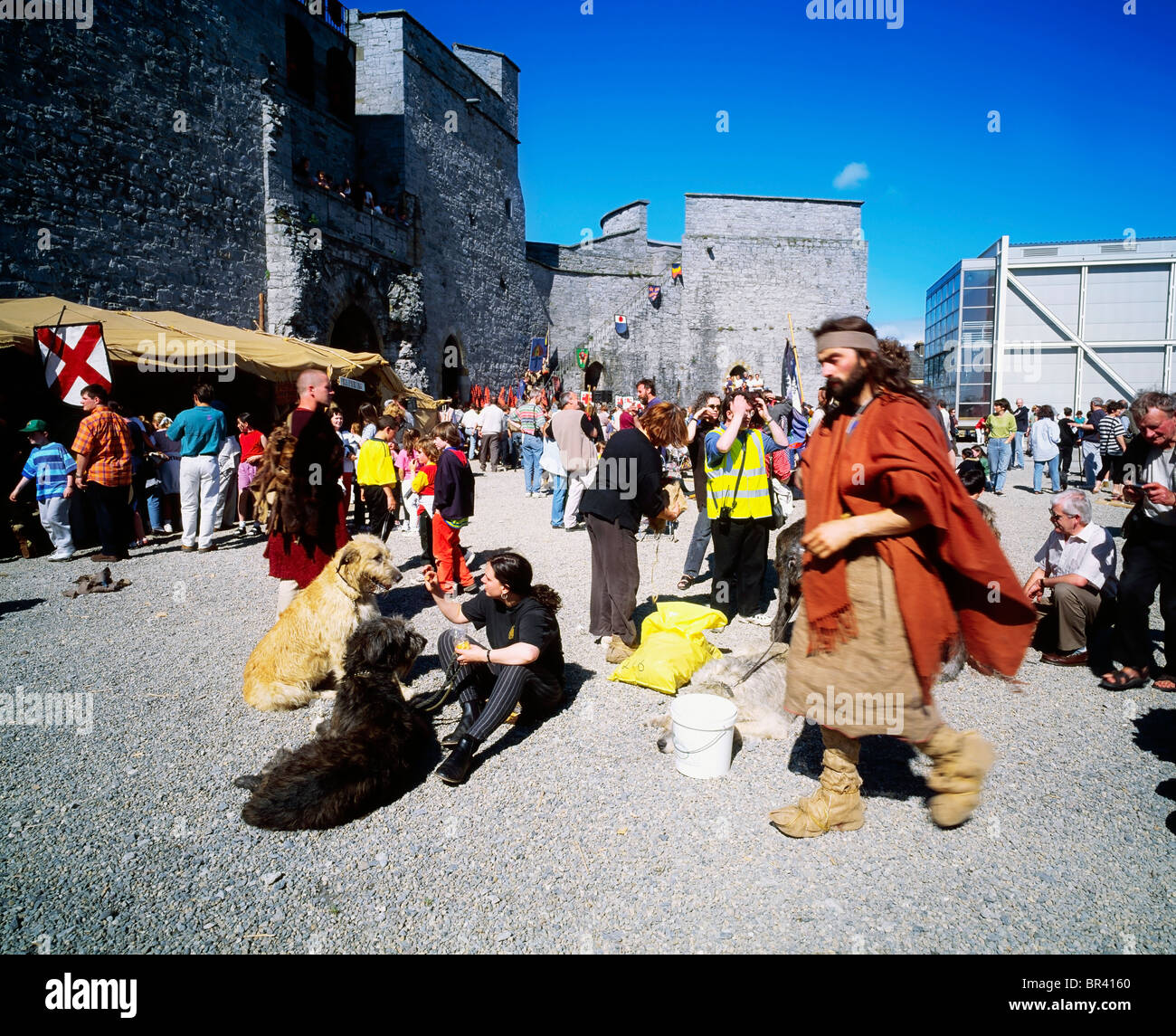 Limerick, Co Limerick, Ireland, Limerick's 800Th Anniversary Stock