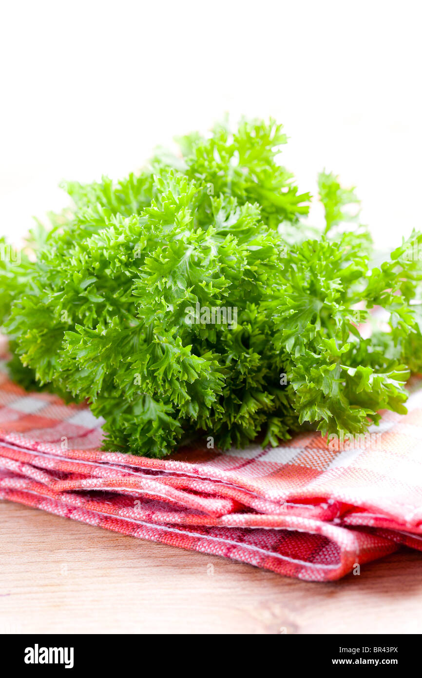 green parsley Stock Photo