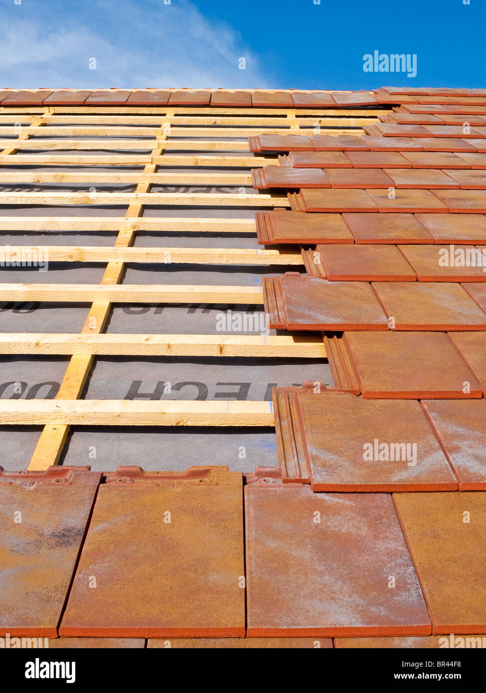 New bungalow pitched roof construction showing softwood pine timber battens and red clay tiles - Indre-et-Loire, France. Stock Photo