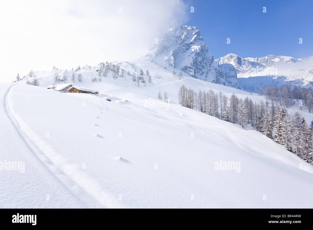 The Mitterfeldalm at the Hochkoenig, Berchtesgadener Alps, Austria Stock Photo