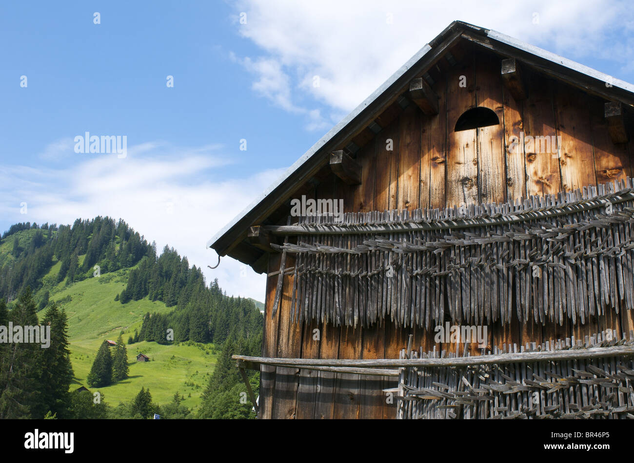 Barn, Baad, Kleinwalsertal, Vorarlberg, Austria, Europe Stock Photo
