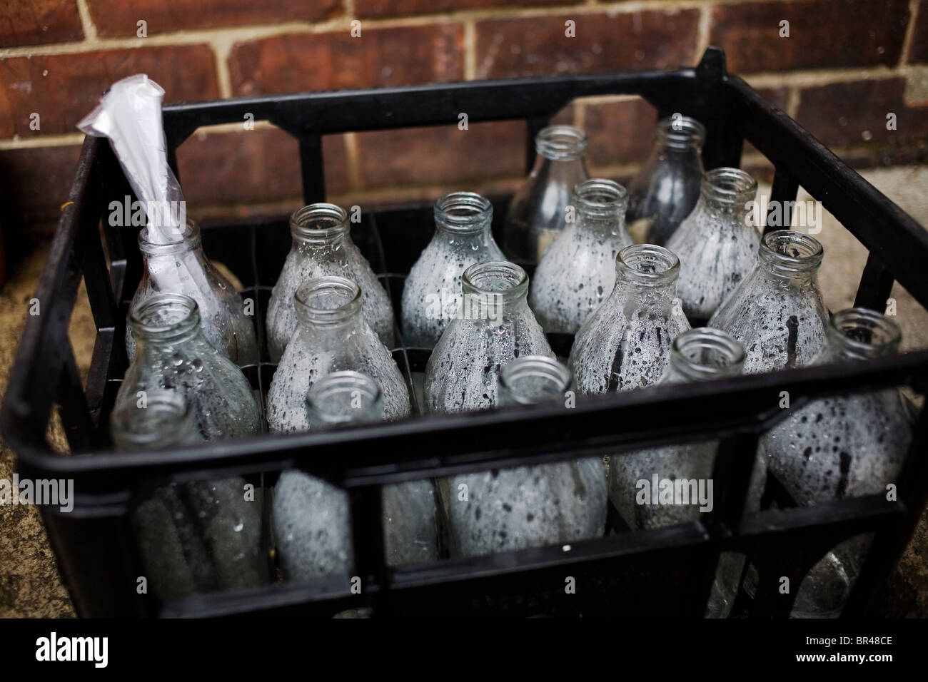 Empty milk bottles in a milk crate Stock Photo Alamy